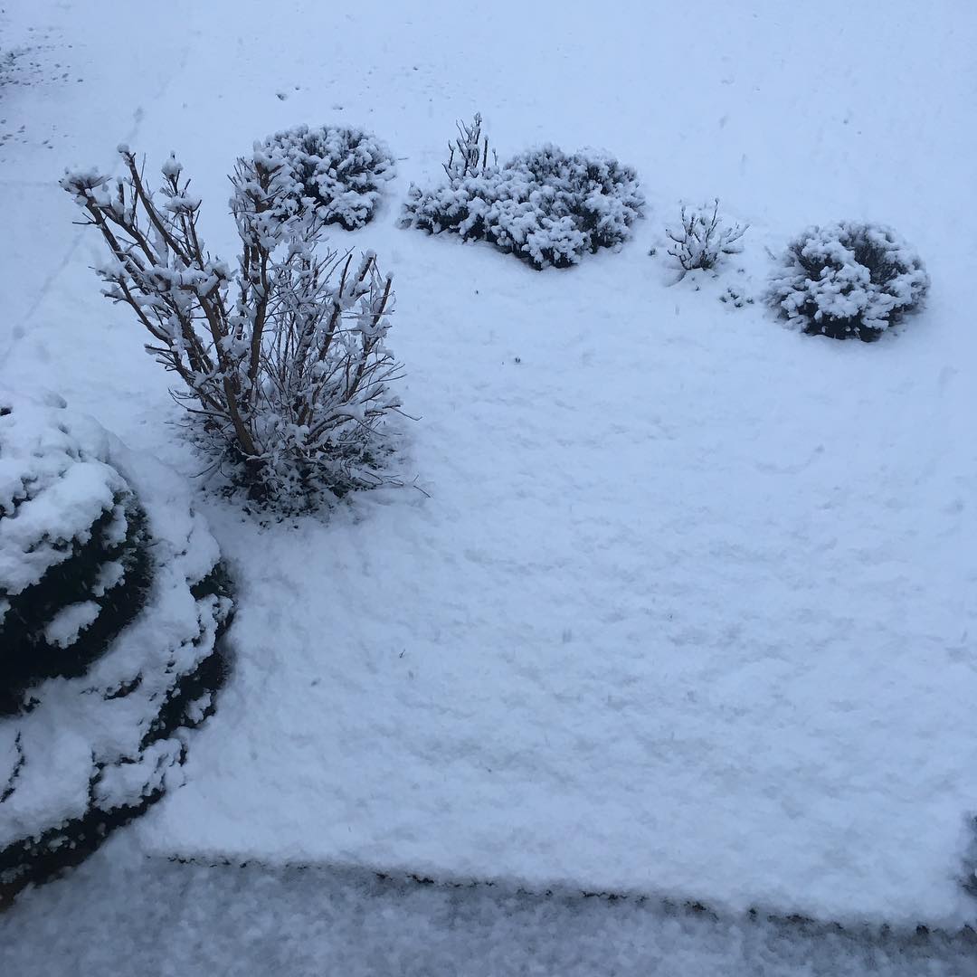 Those on shift this morning are happy. They got to remove. Snow and apply anti icing fluid. They also get to go home a little later.