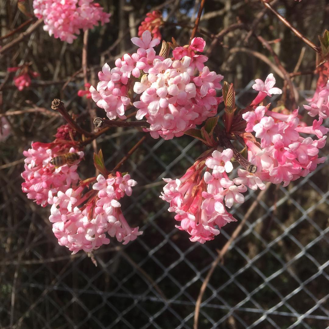 Goodbye winter.