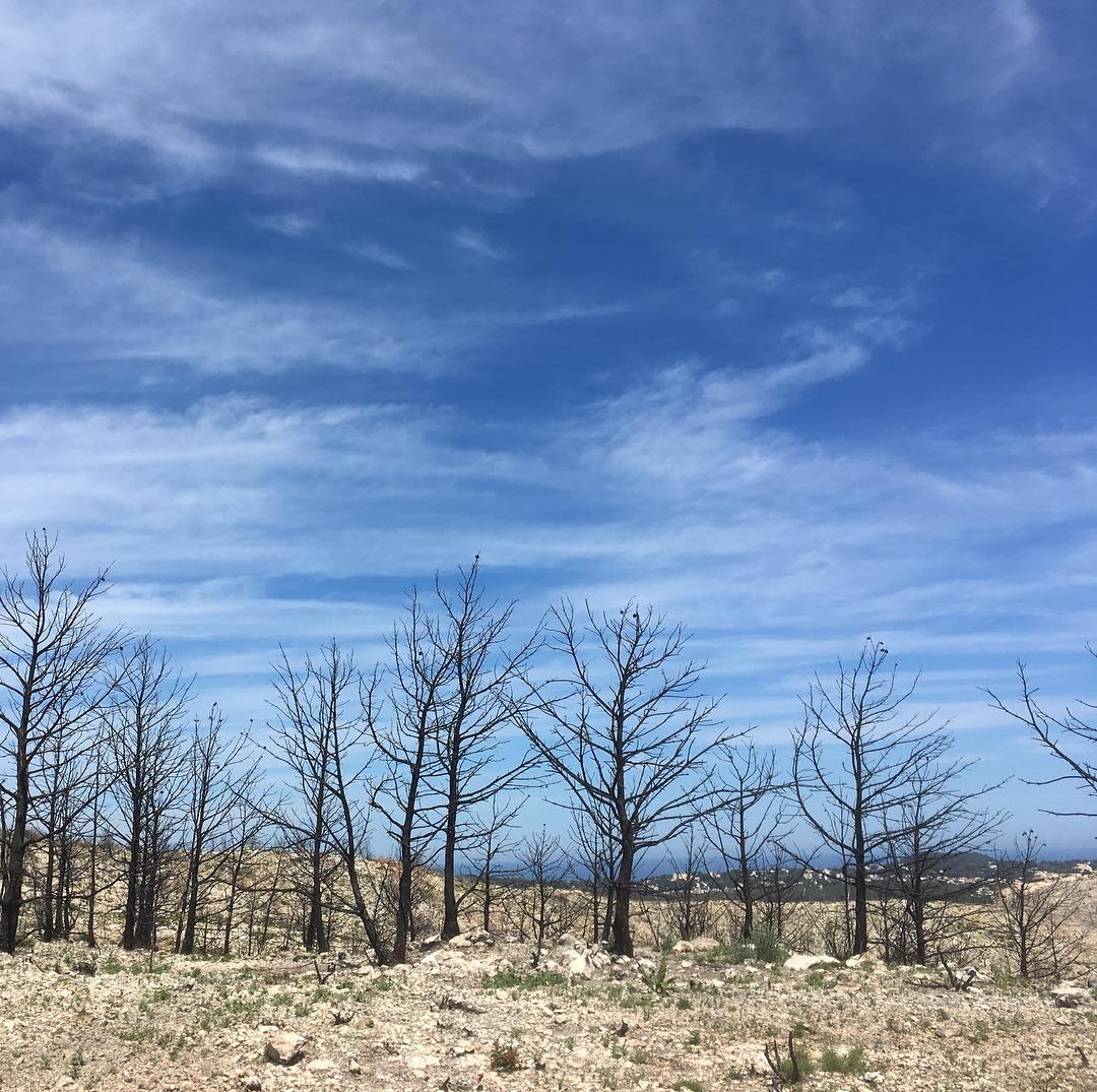 Aftermath of a fire.