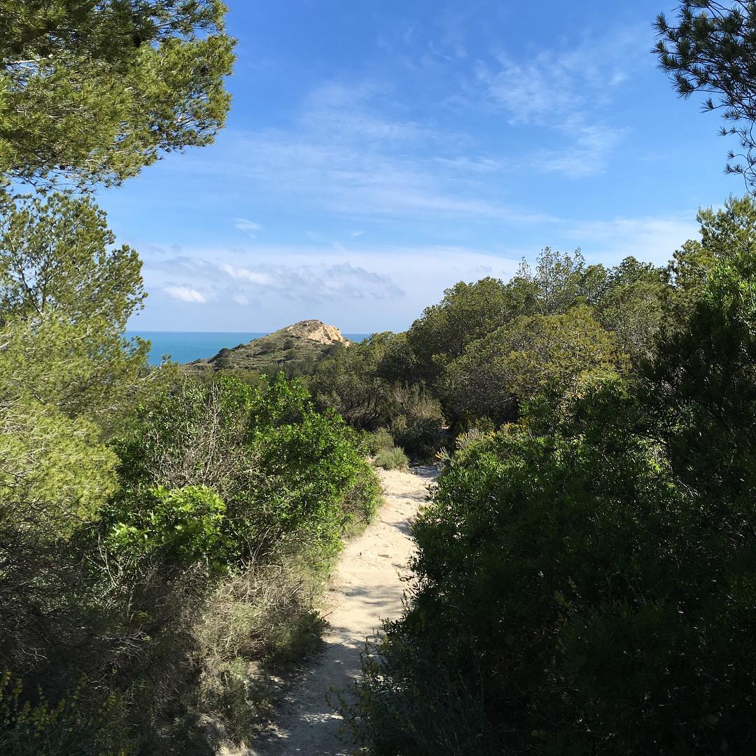 Another day in Spain.