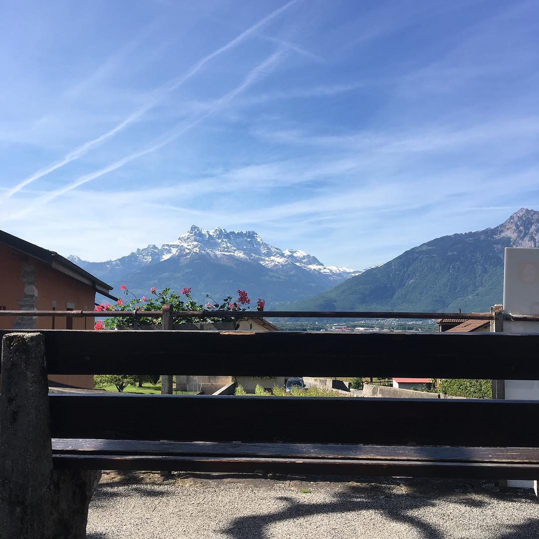 A bench with a view