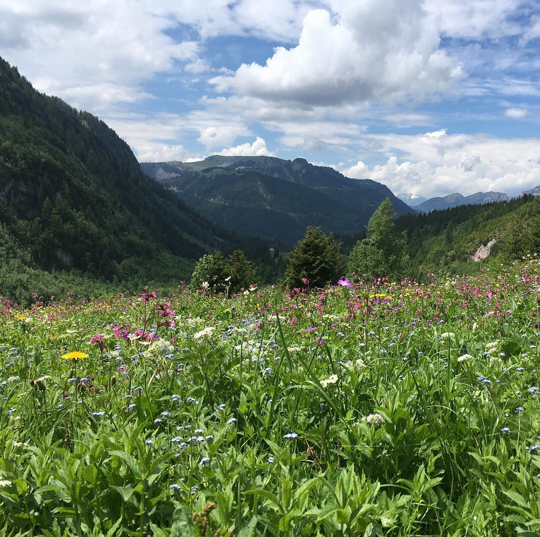 Spring in Les Diablerets.