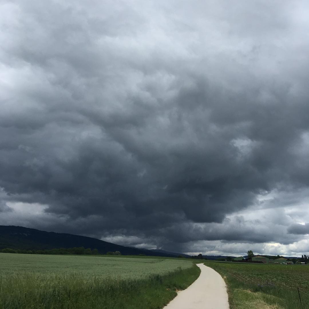 From the second bike ride.