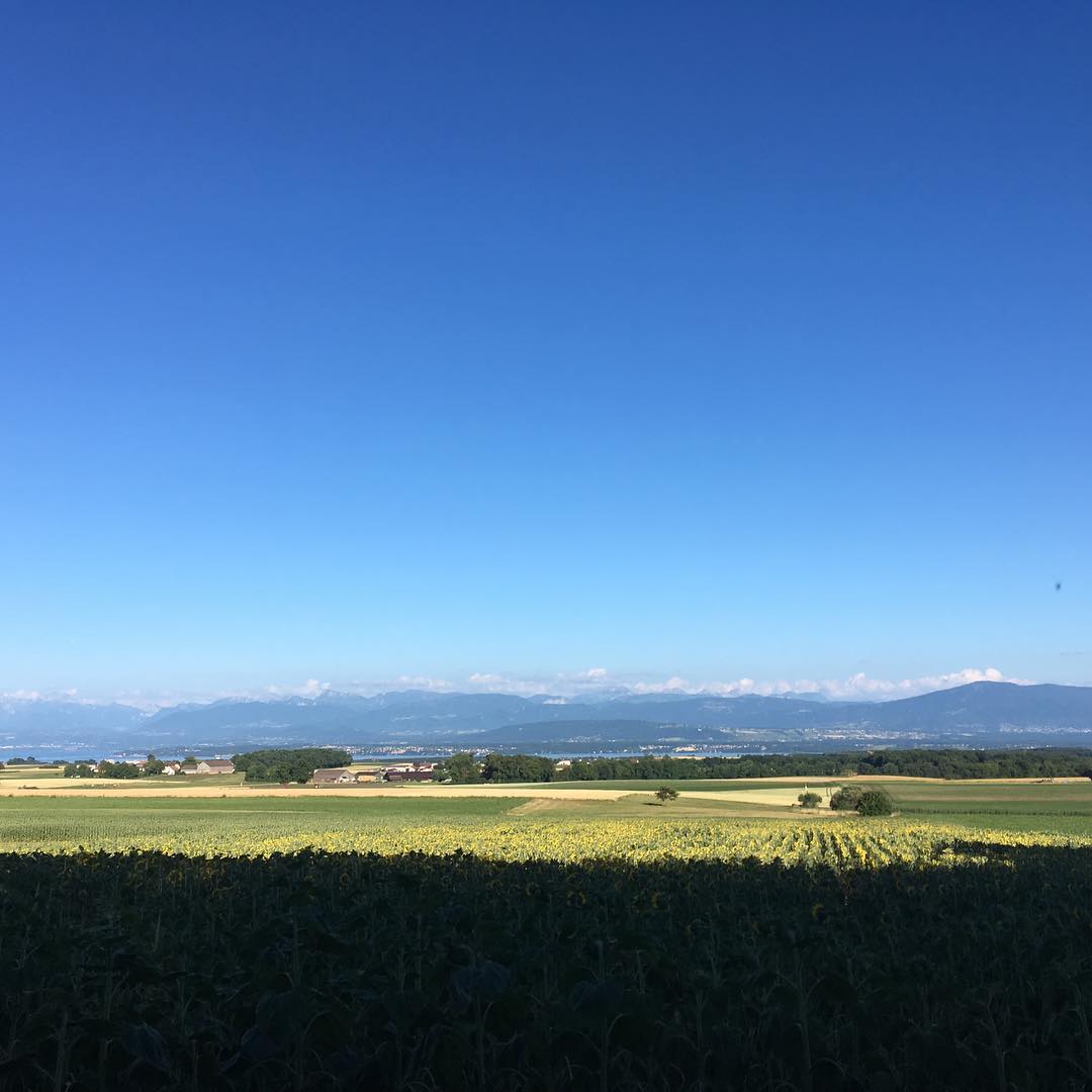 From yesterday's bike ride