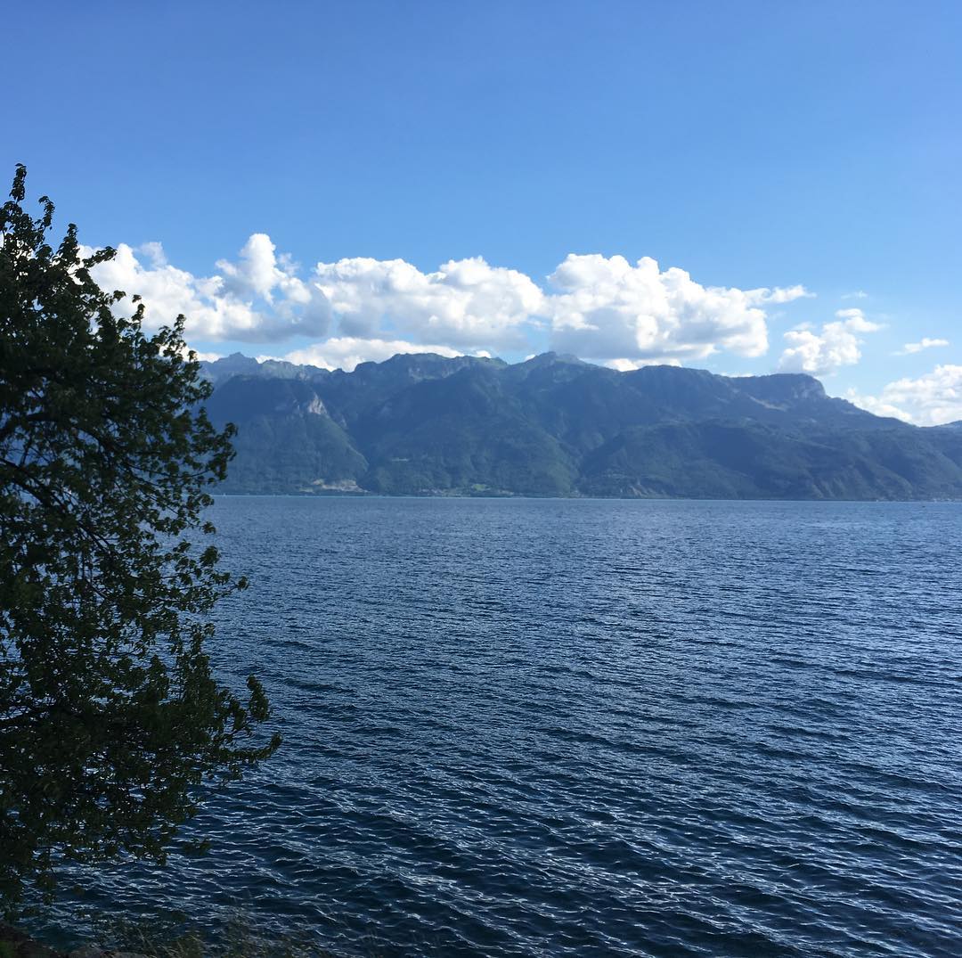 A view from a train