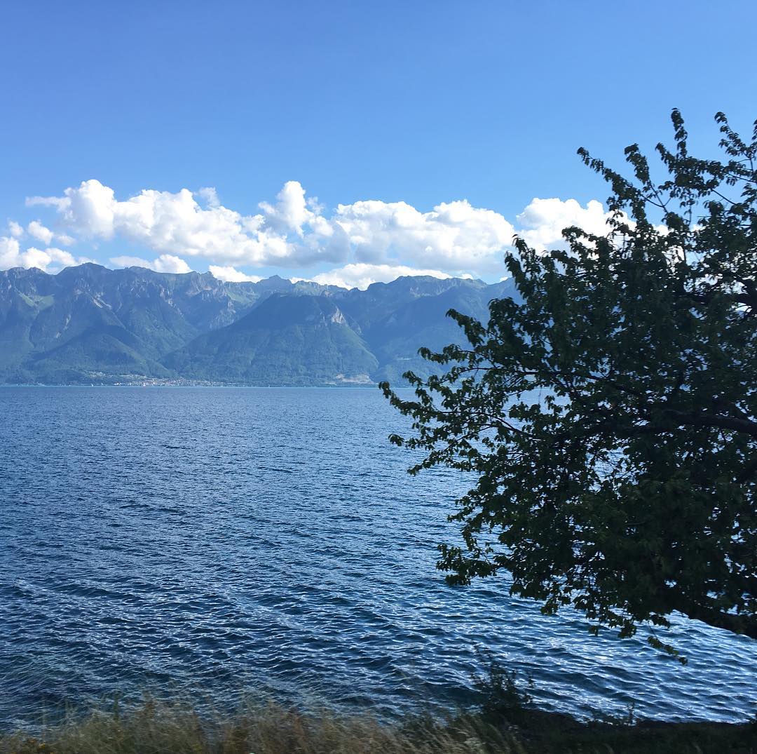 Another view from a train.