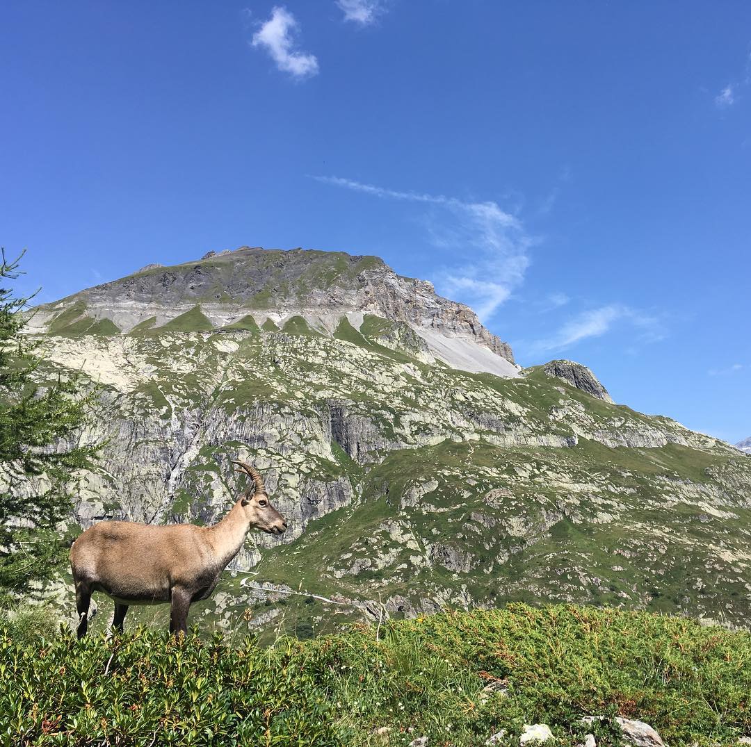 @salanfe Ã  une vallÃ©e prÃªt. ;-)