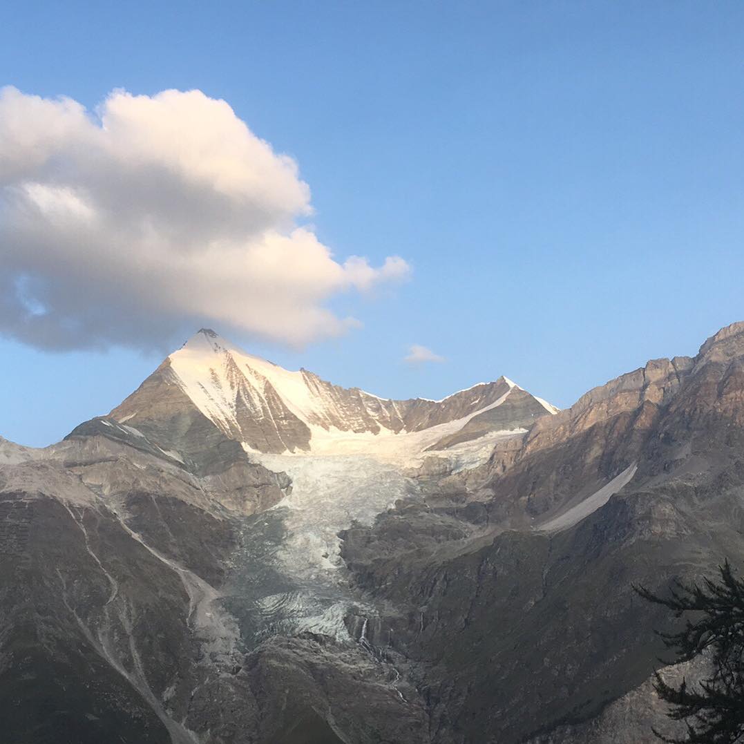 Morning view of nature.