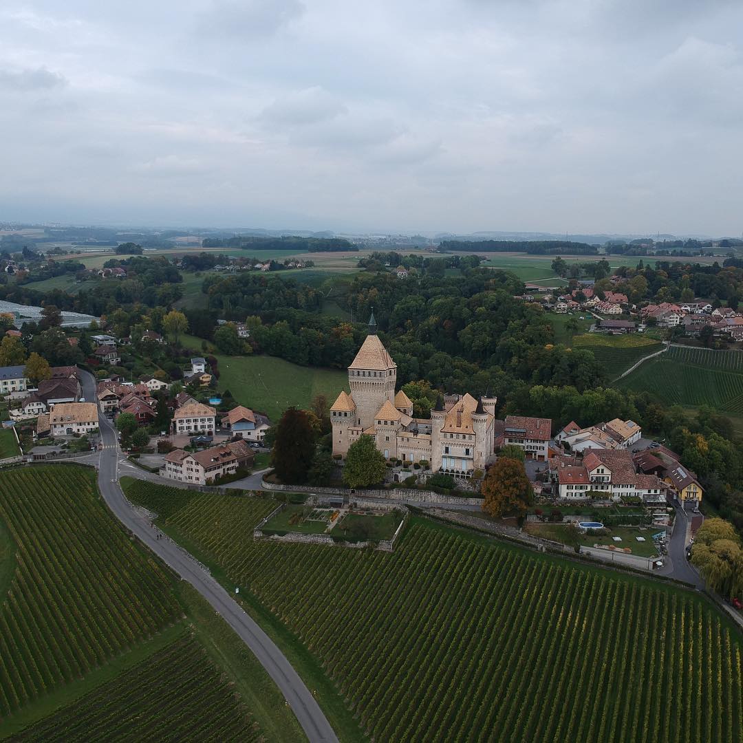 #djispark