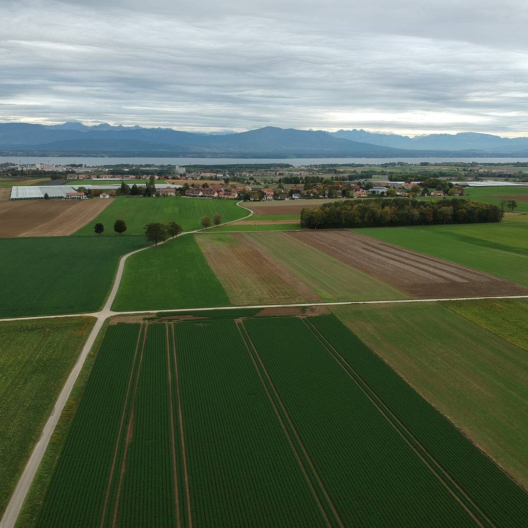 #djispark