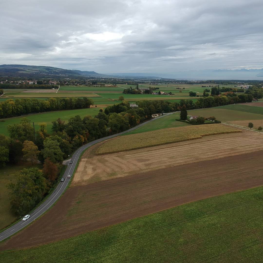 #djispark