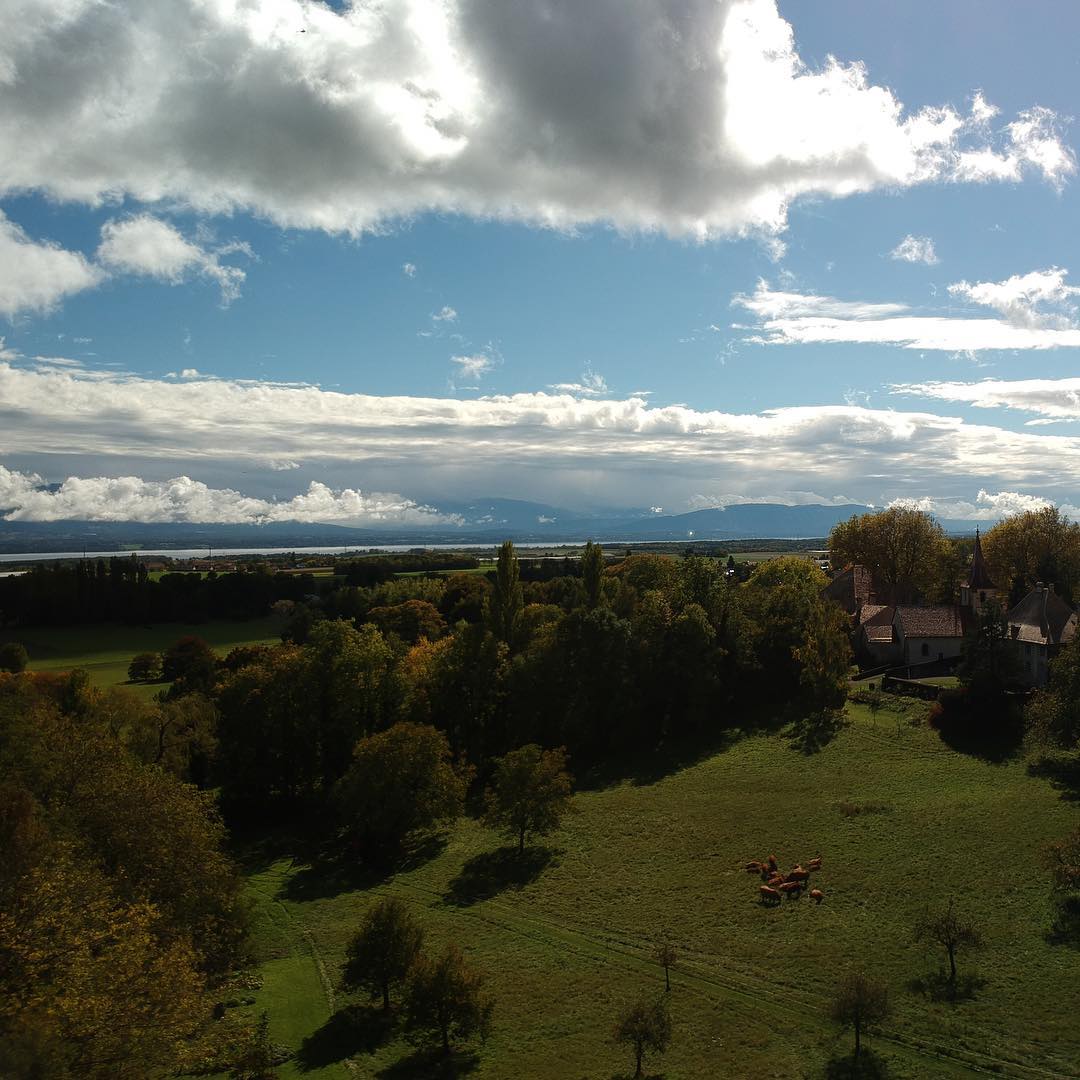 #djispark with Polarpro nd8-pl