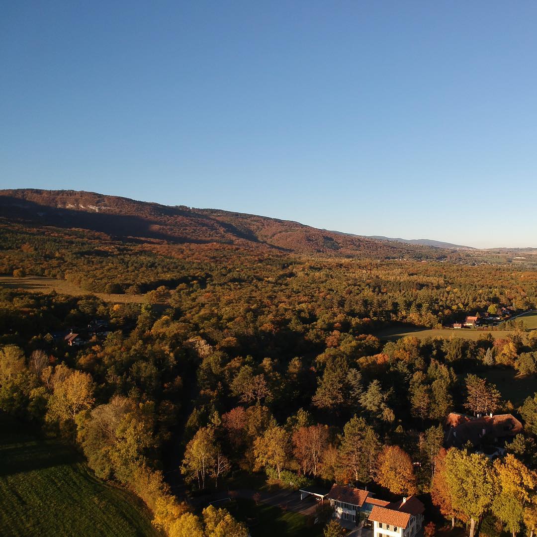 Autumn from a drone #djispark