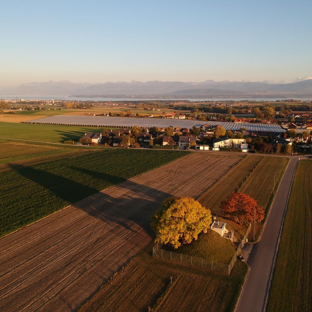Autumn flight with the #djispark