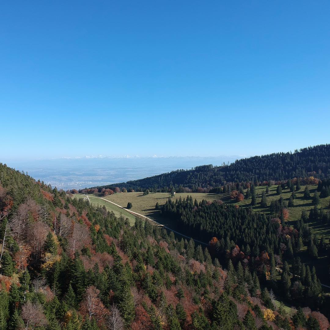 Looking towards the Alps.