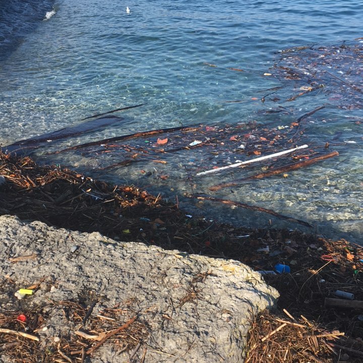 Plastic pollution in Geneva @summitfoundation