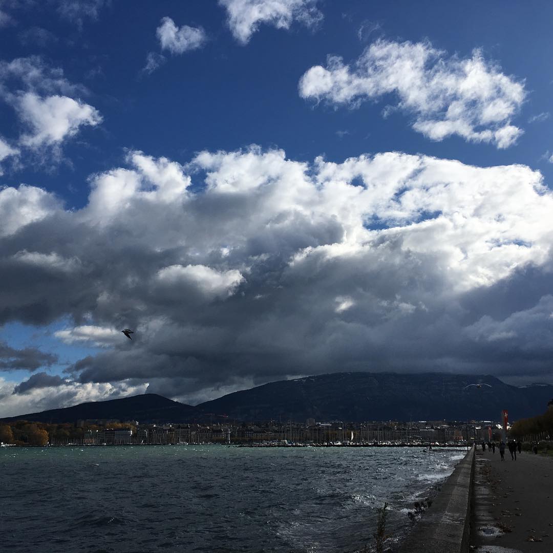On a cold and windy day...