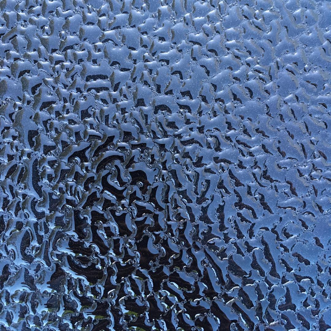 Can you guess what it is?