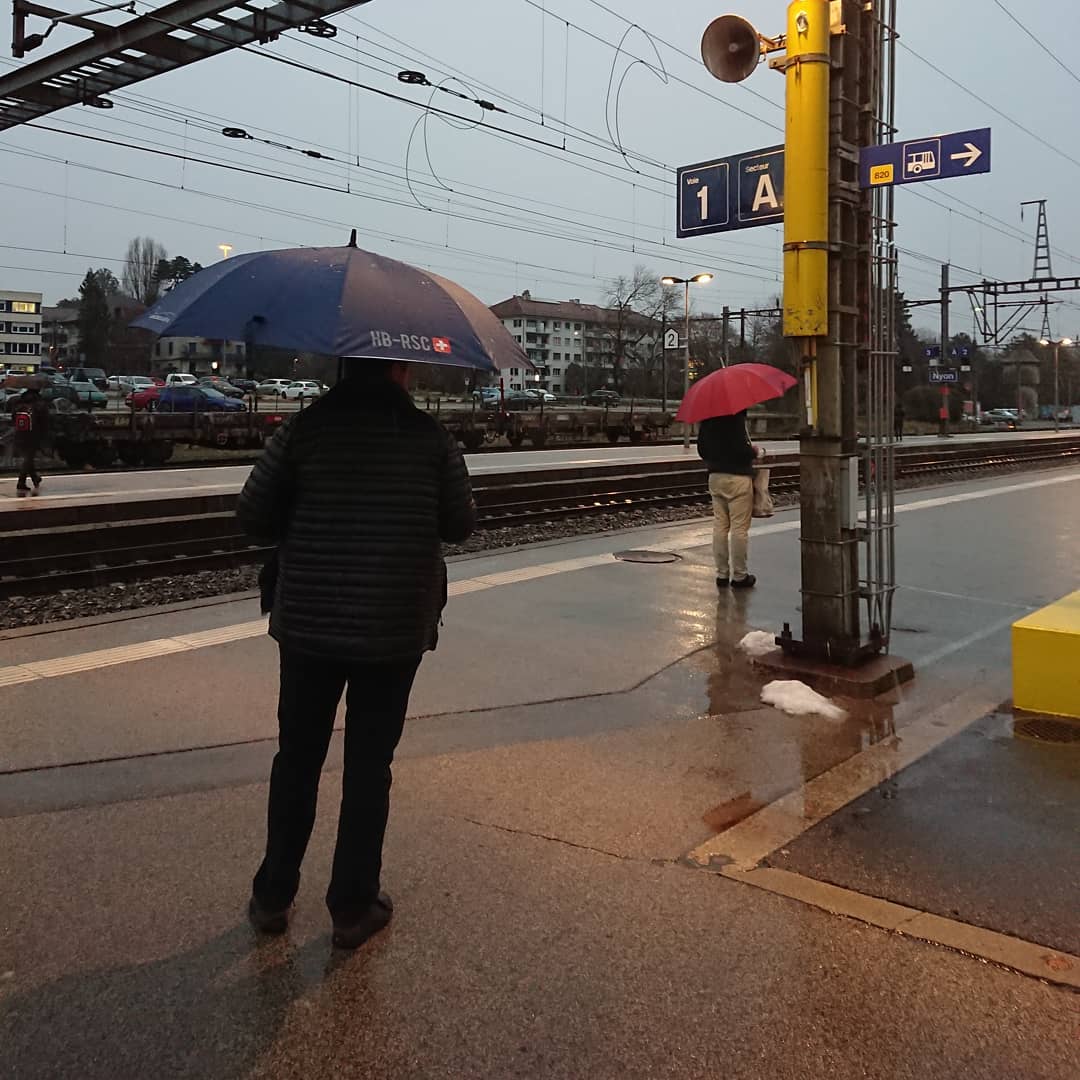 The umbrella army is out again.