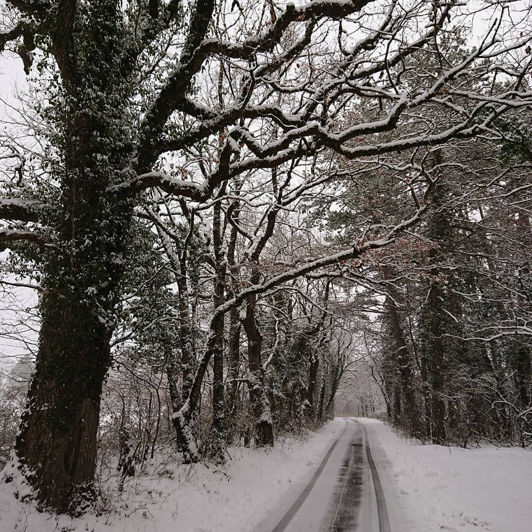 Victorian winter