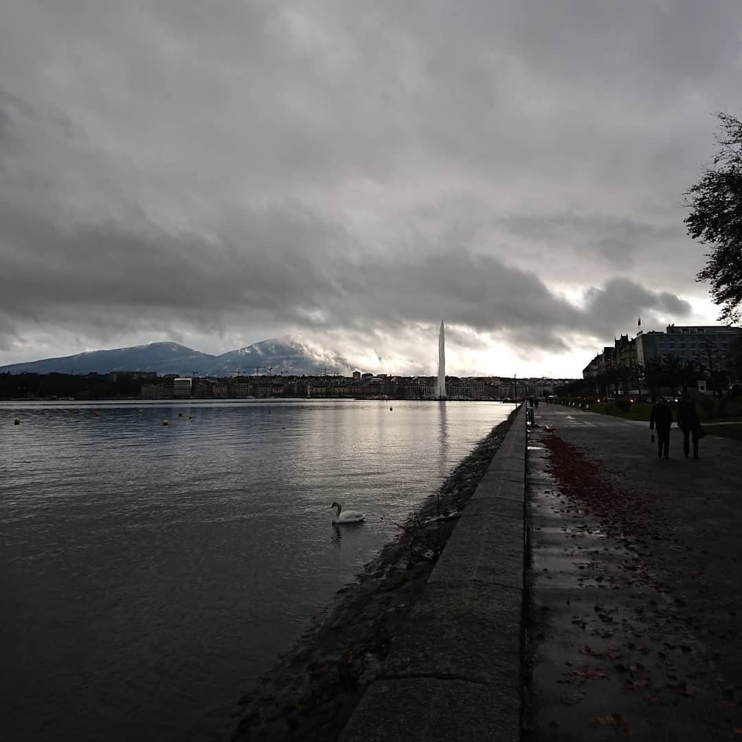 Relaxing walk by the lake. So relaxing I forgot to check for cyclists. I got yelled at.