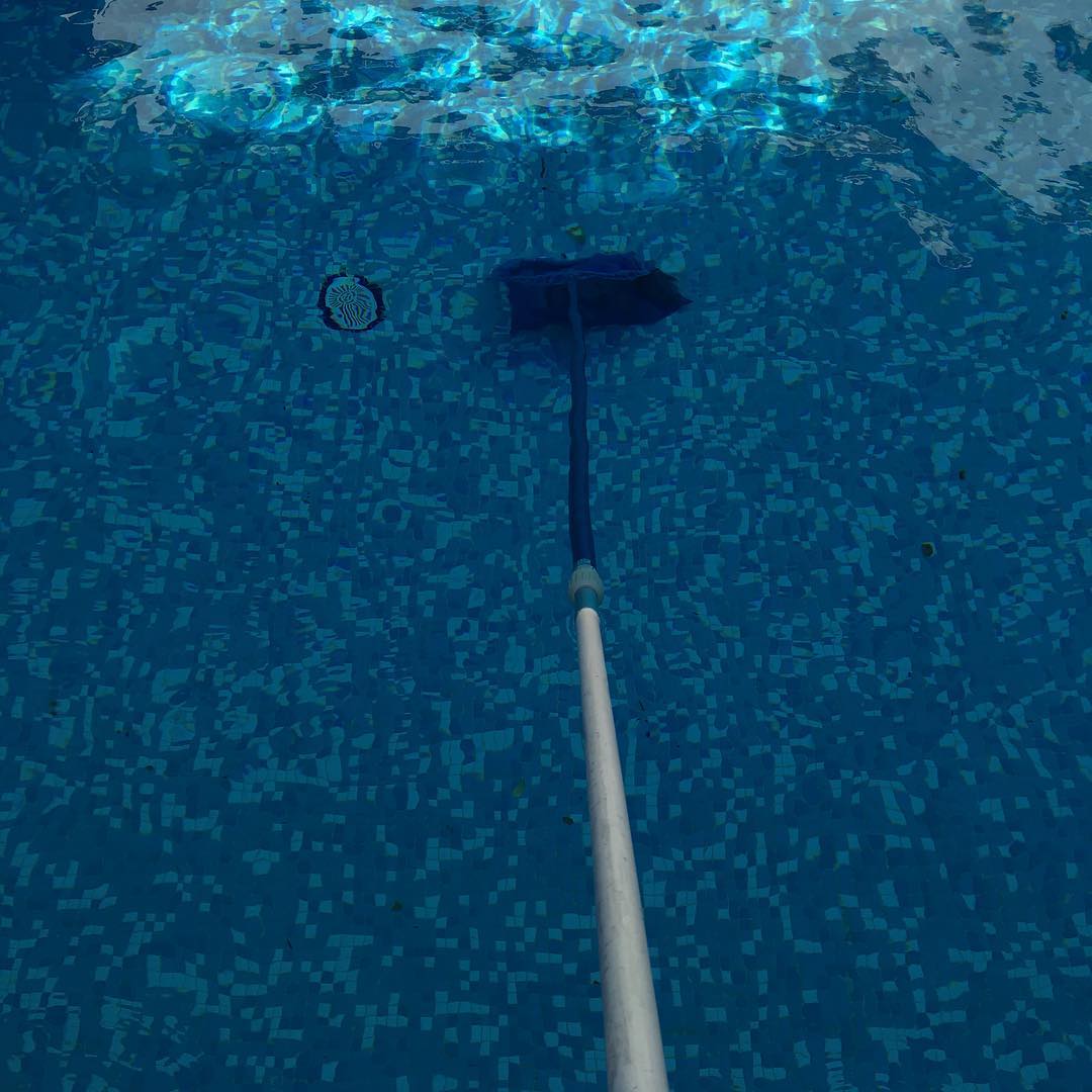 Removing leaves from a pool.