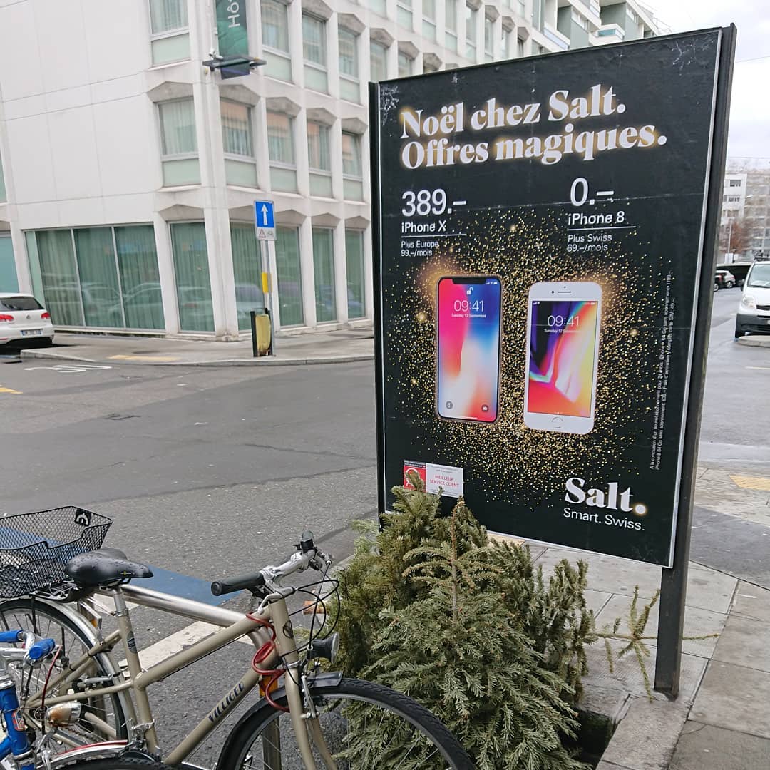 No longer christmas for these trees.