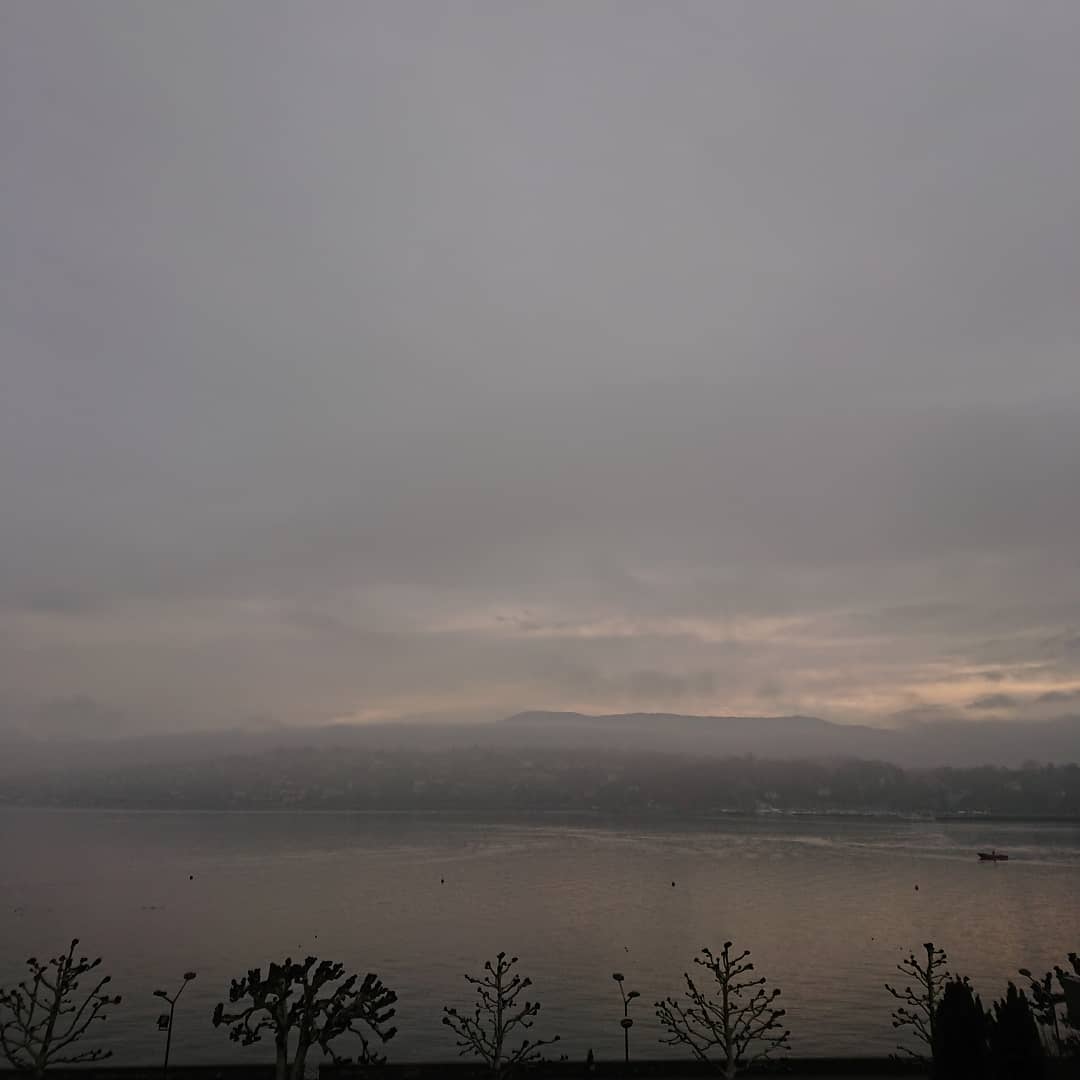 View from a Palace.