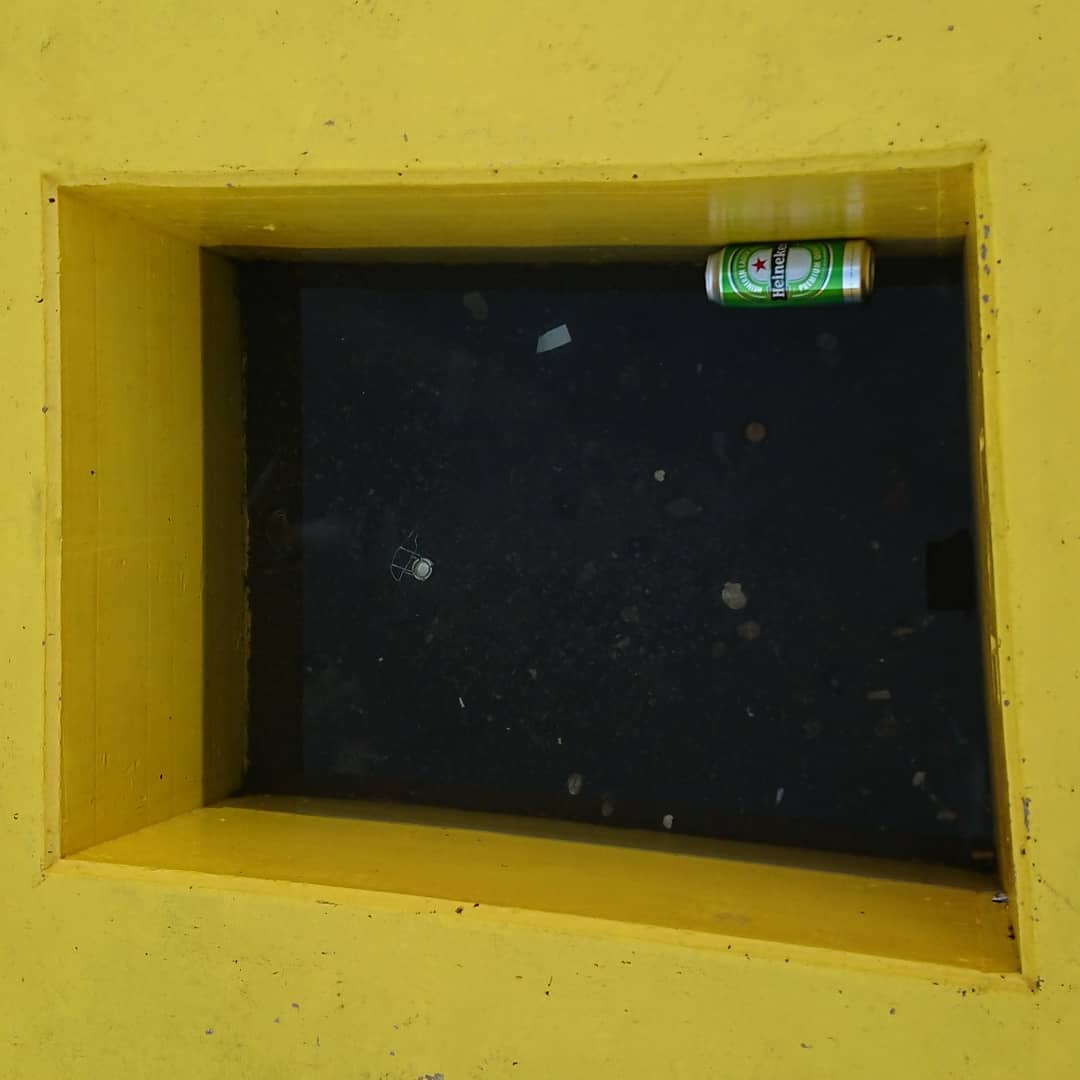 Puddle, day three.