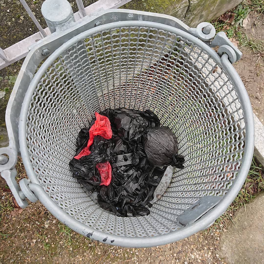 The carbon and plastic footprints of dog ownership in town.