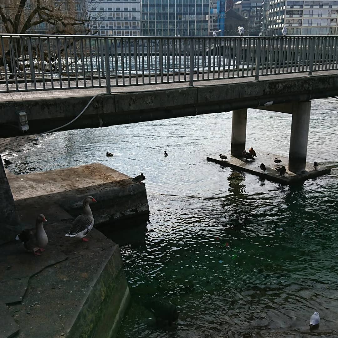 The place to be, if you're a bird.