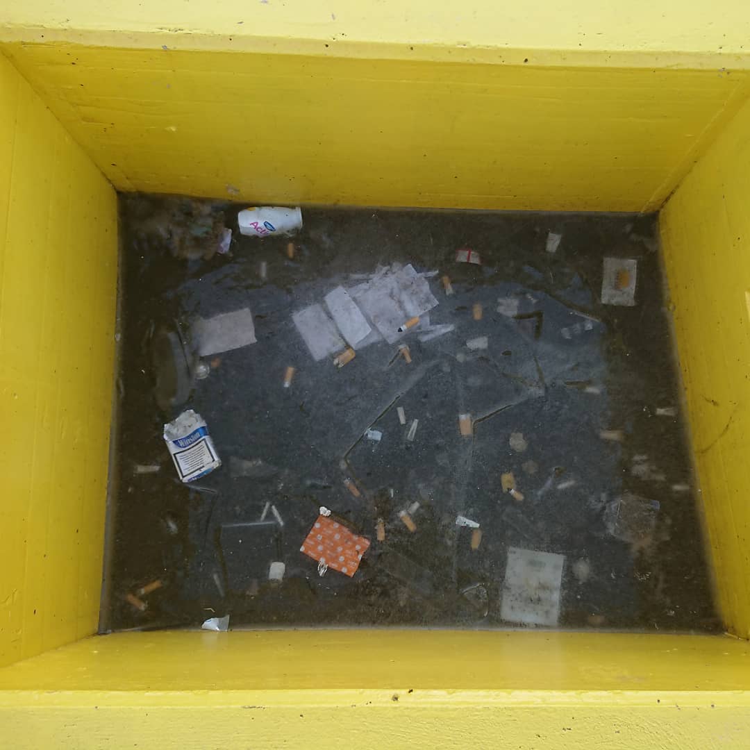 Rubbish cold