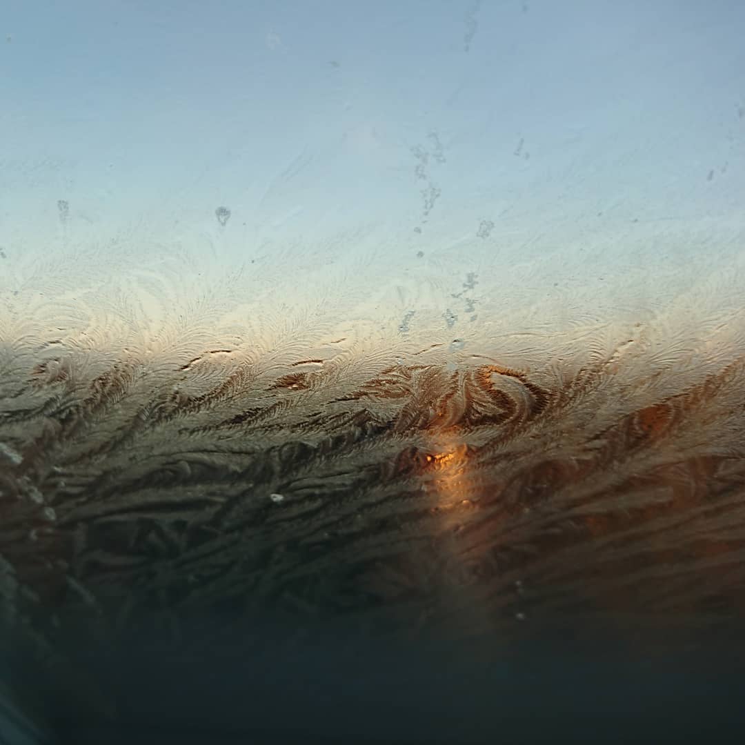 Morning fractals