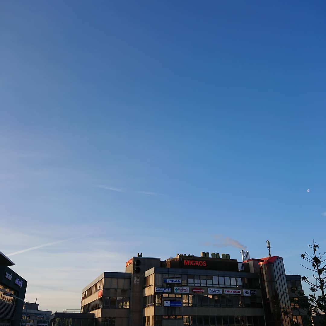 Morning world.