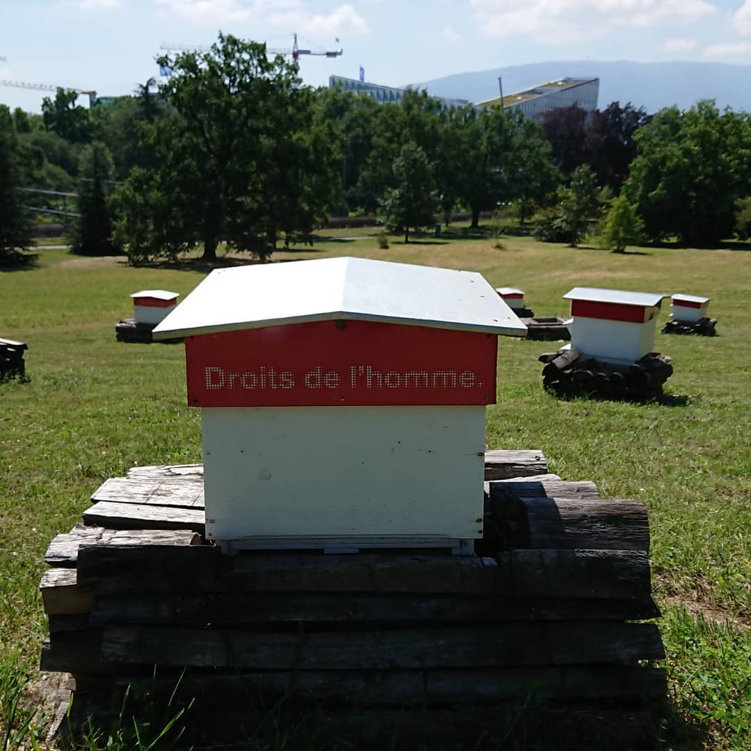 UN bees keeping. ;-)