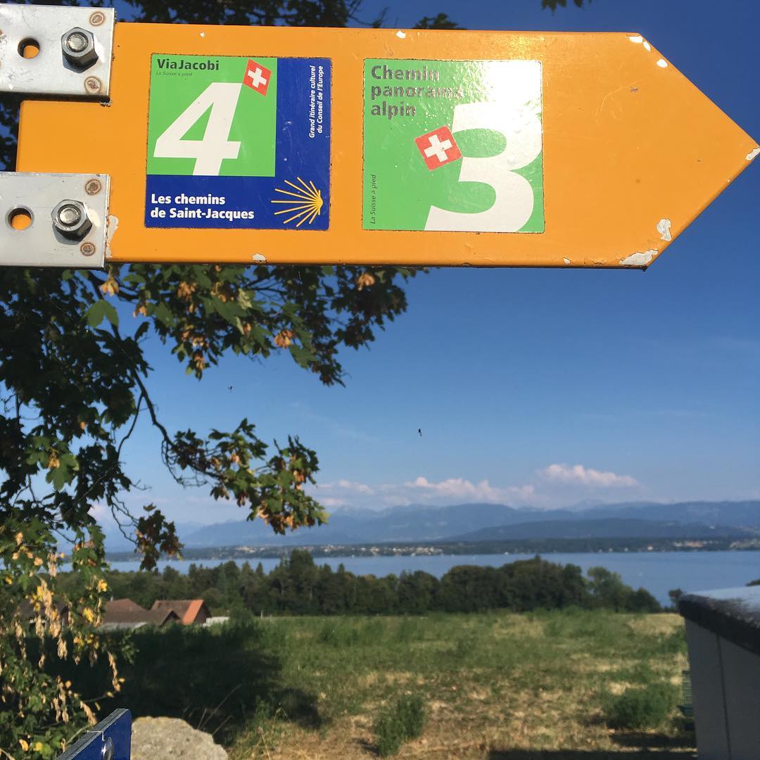 Walking the Camino.