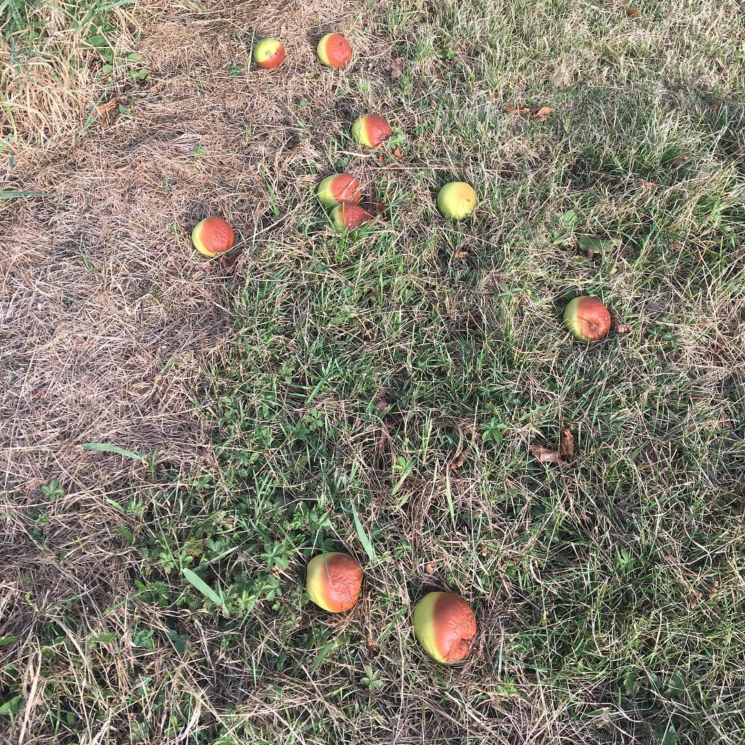 Isaac Newton was here. ;-)