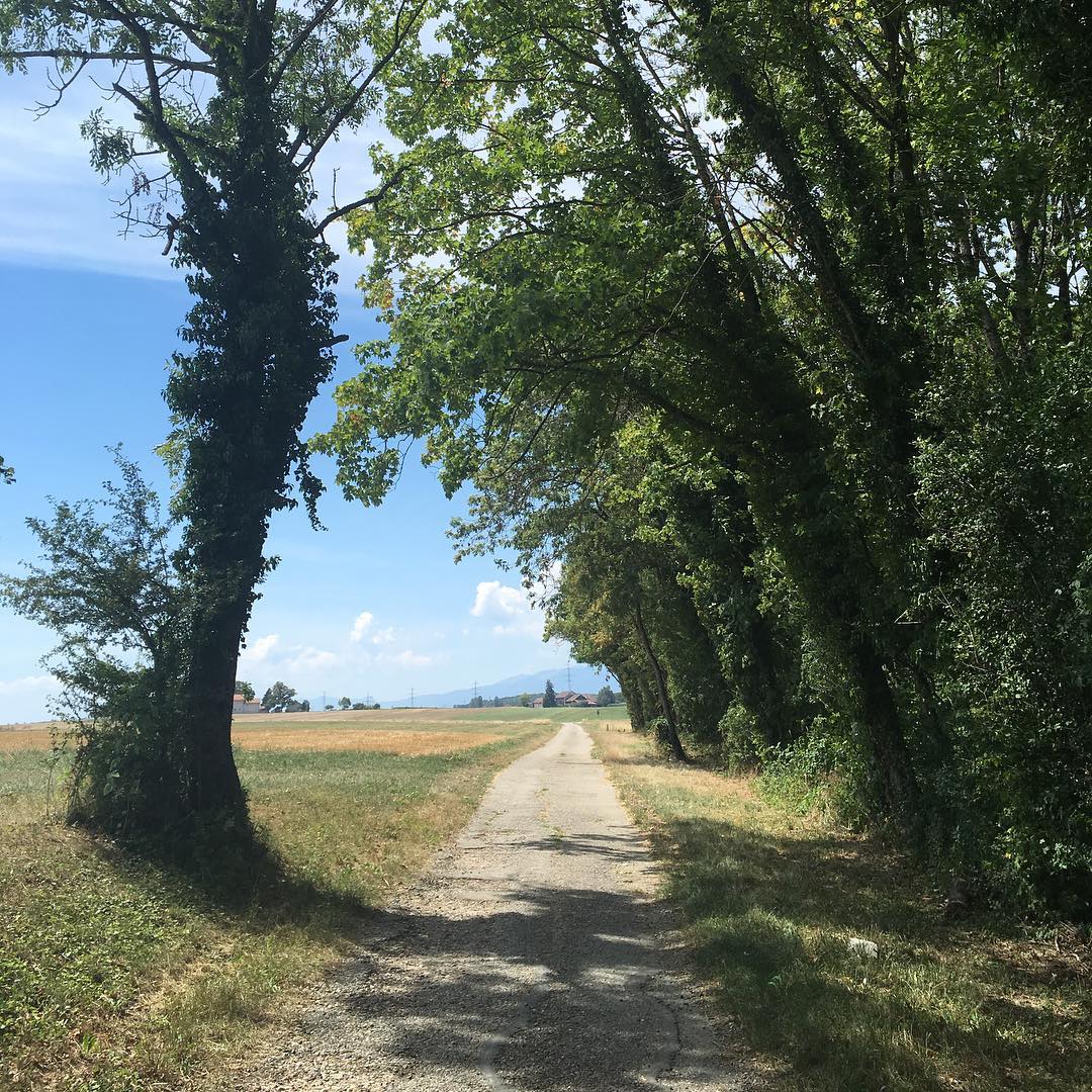 Walking back from the shops