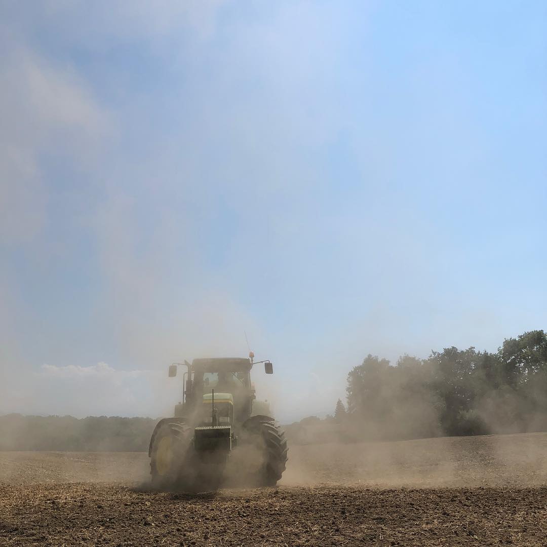 It made sense to stay up from the sun. I would have been covered in dust otherwise. There are storms over the Jura now. Earlier I saw paragliders enjoying the thermals off of the fields