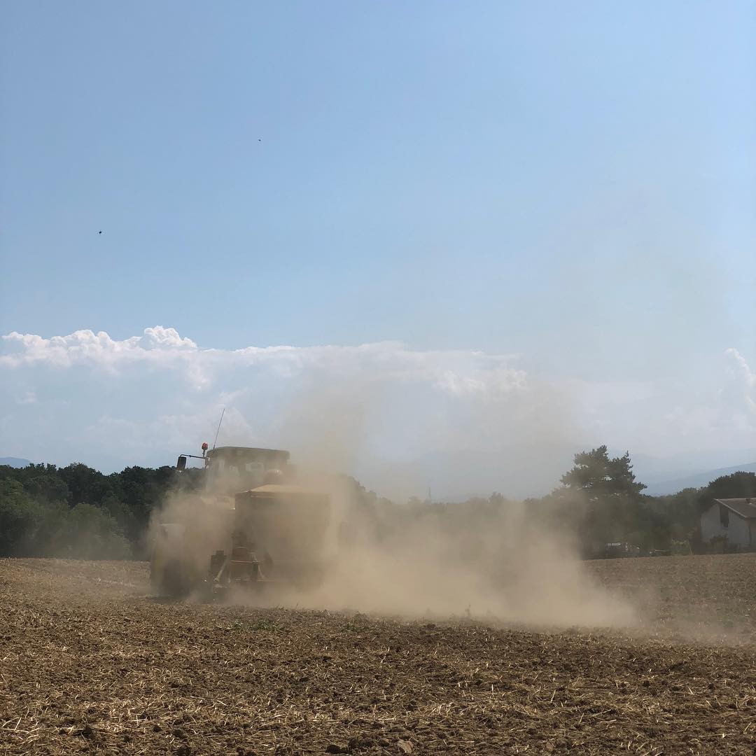 Farming during the dry season.