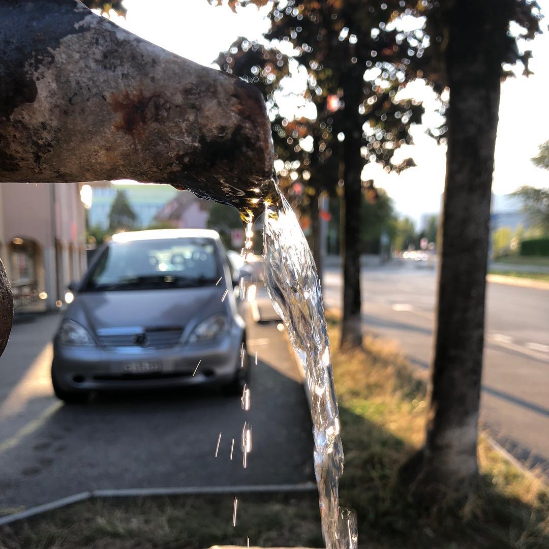Taken with an idogandbone