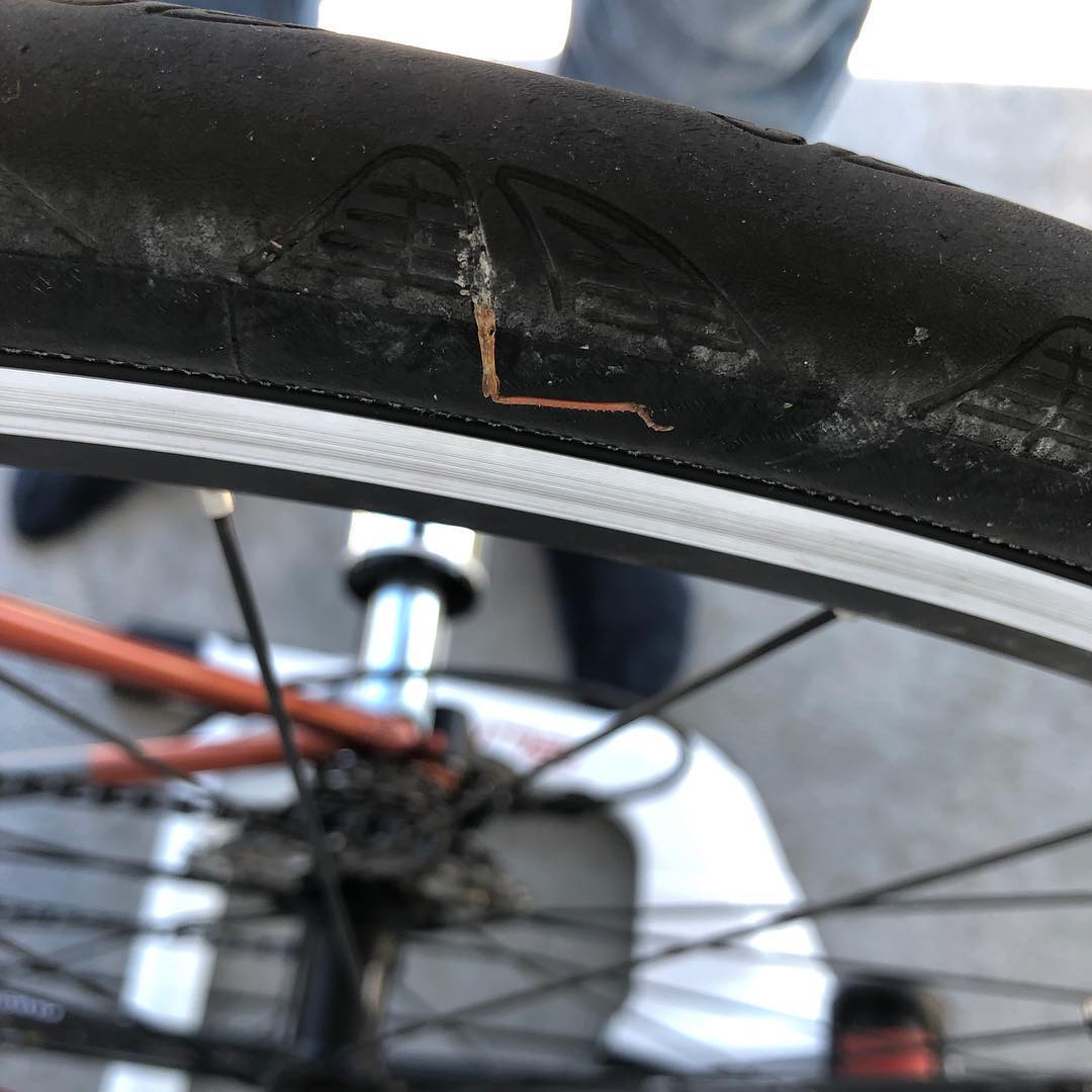 Seems I squashed a bug and kept its leg two days ago.