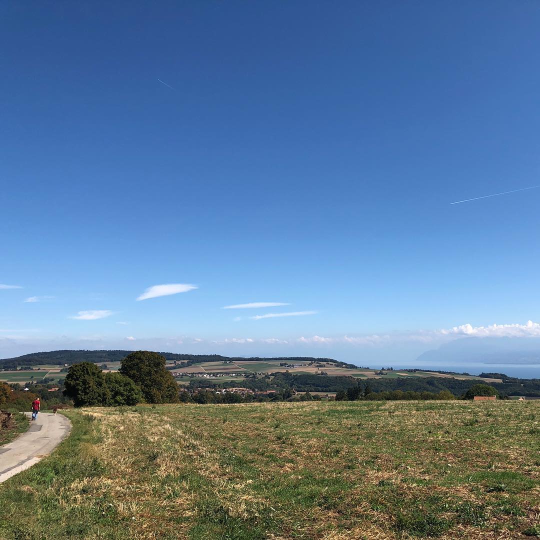 Cycling in Switzerland.