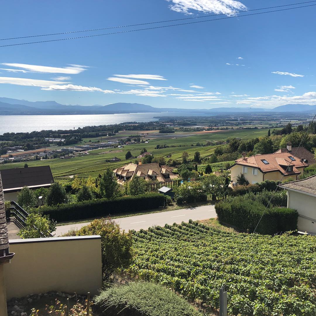 Cycling during the grape harvest.