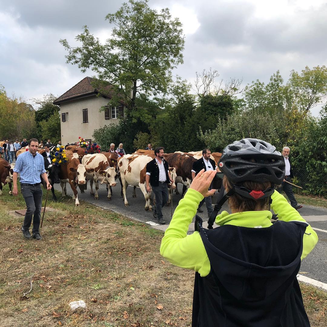 This is Switzerland, where cyclists stop to take pictures of the desalpe.