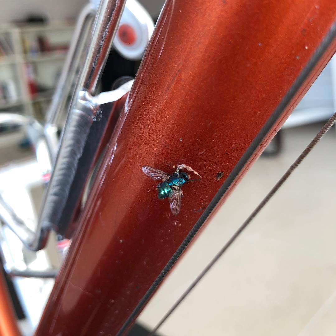 My bike needs a wash.