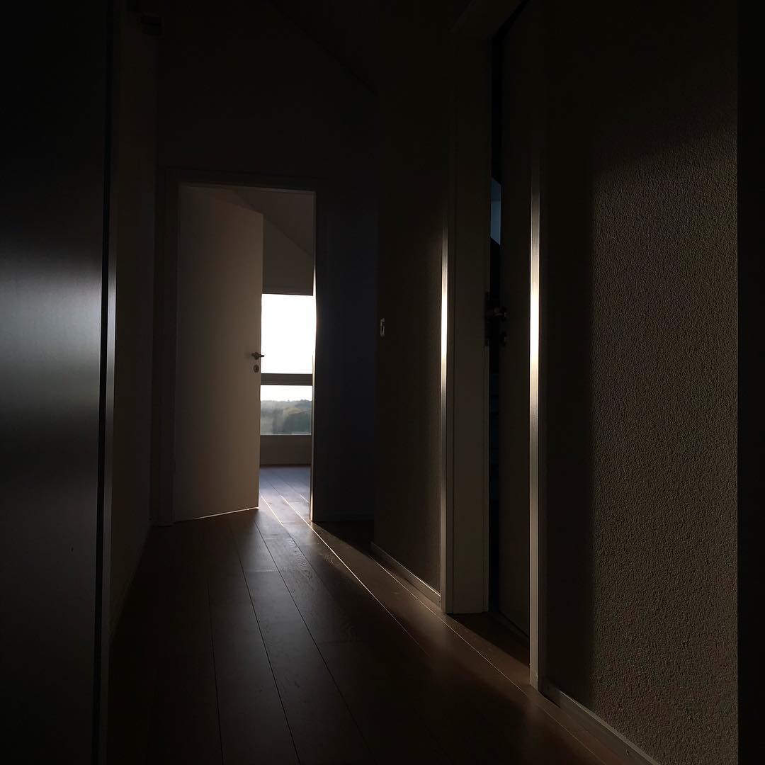 Morning light in my flat.