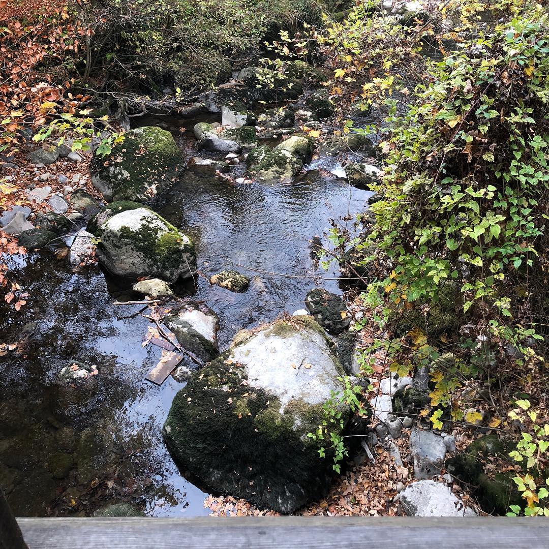 A stream, no longer a river, runs through it.