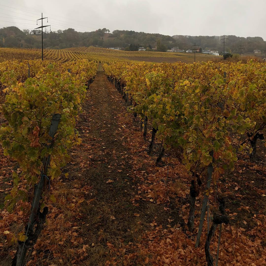 Autumn weather :-)