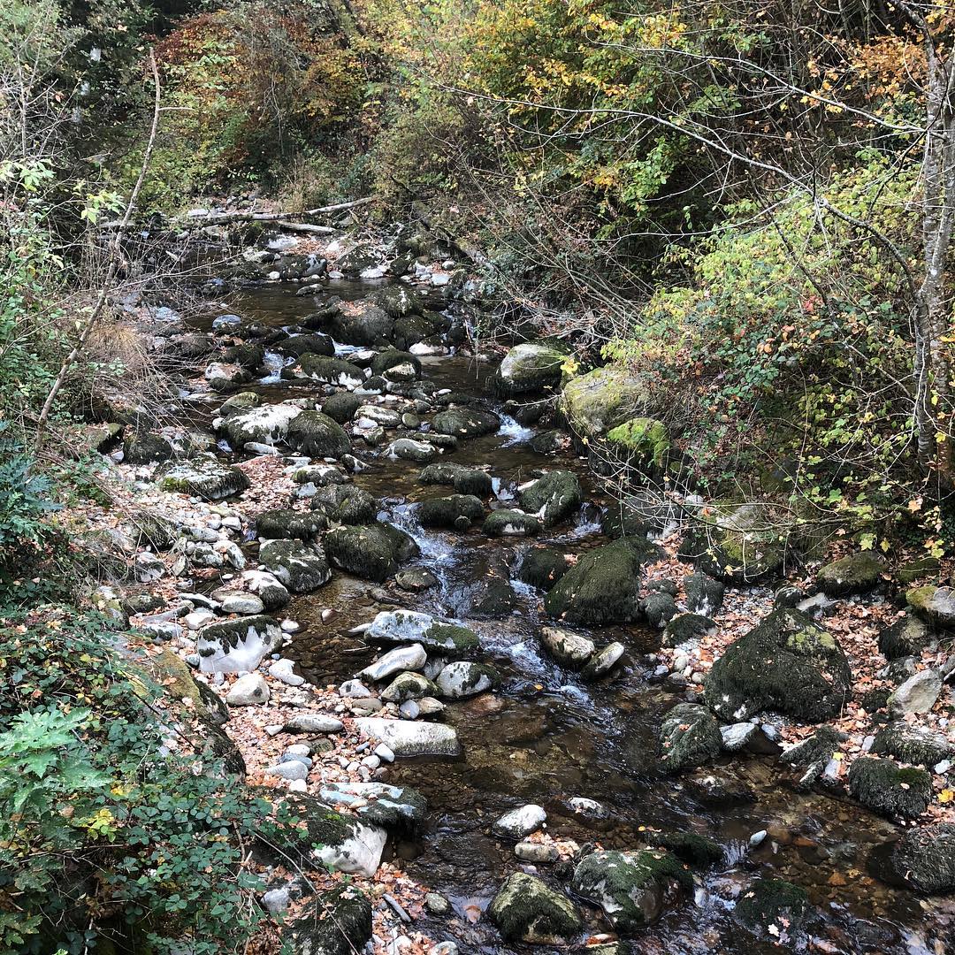 Swiss dry River bed
